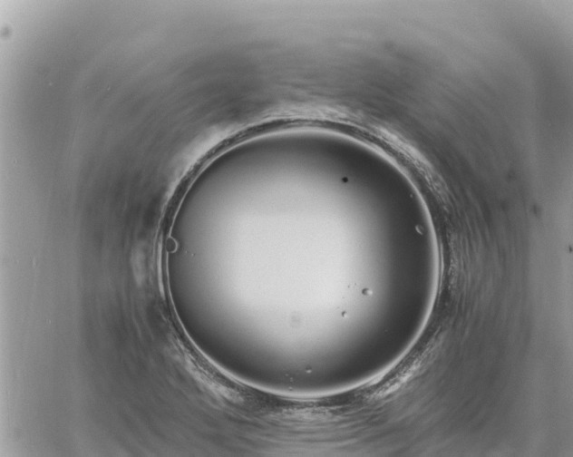 X0000060751272200511171113