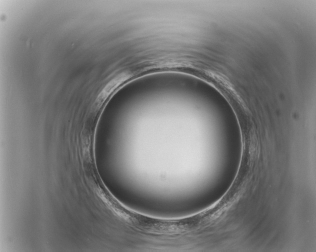 X0000060751273200511171113