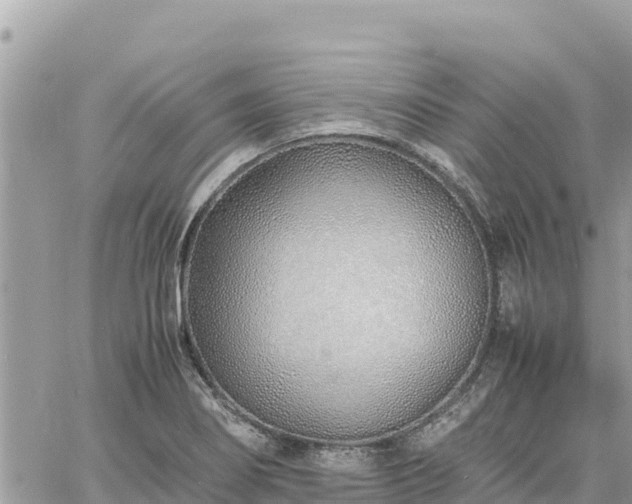 X0000060751274200511171113