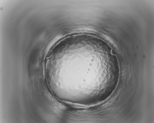 X0000060751275200511171113