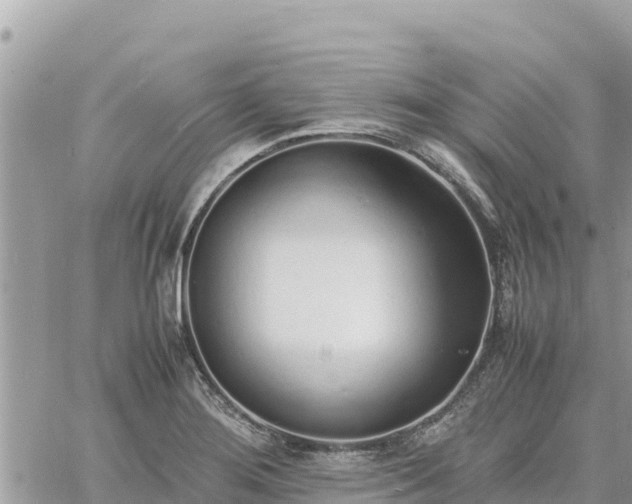 X0000060751276200511171113