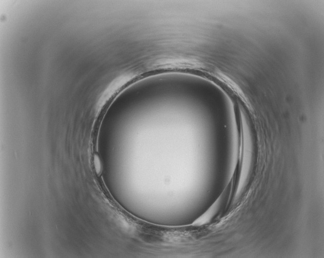 X0000060751277200511171113