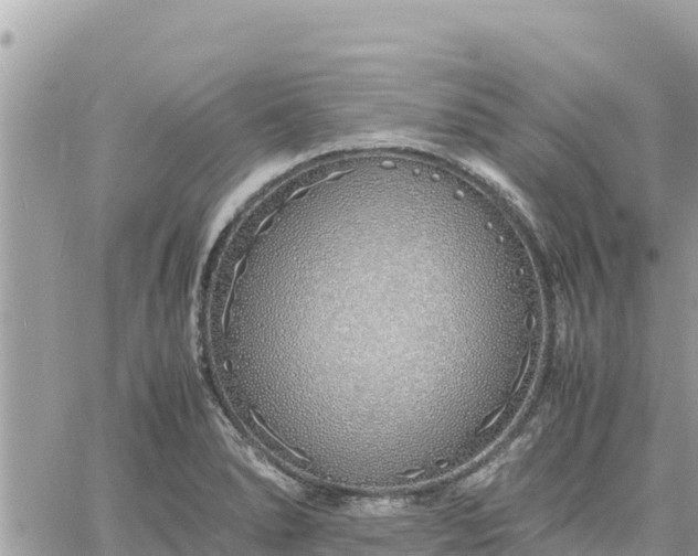 X0000060751278200511171113