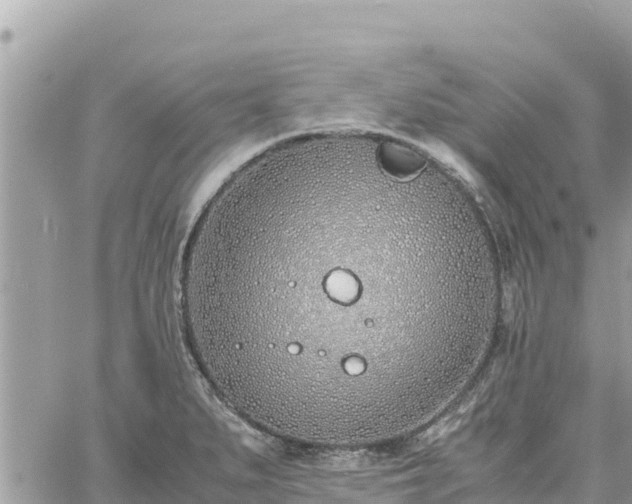 X0000060751279200511171113