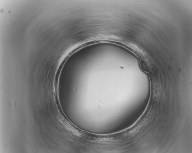 X0000060751280200511171113