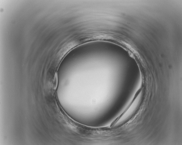 X0000060751281200511171113