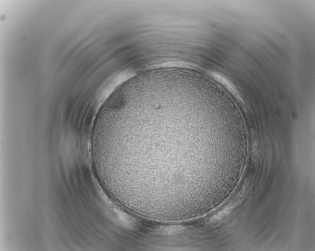 X0000060751282200511171113