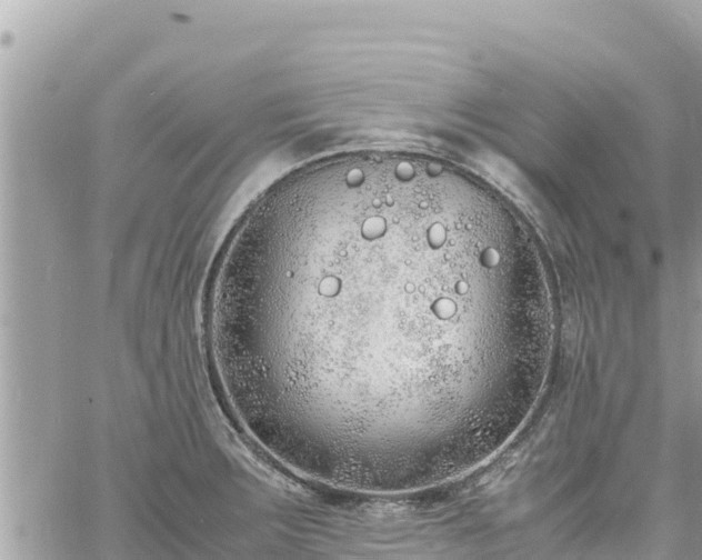 X0000060751283200511171113