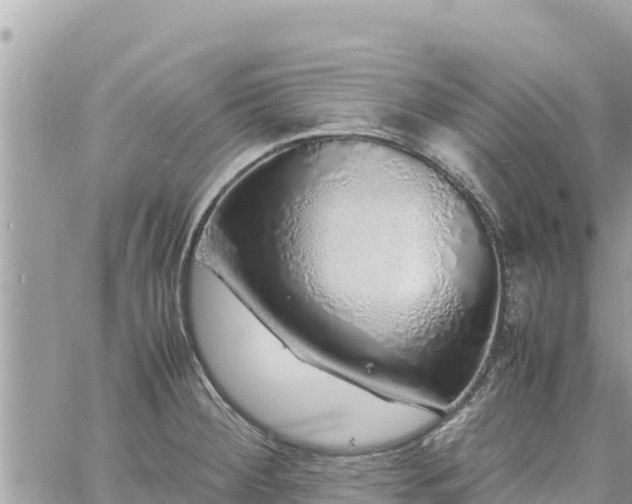 X0000060751284200511171113