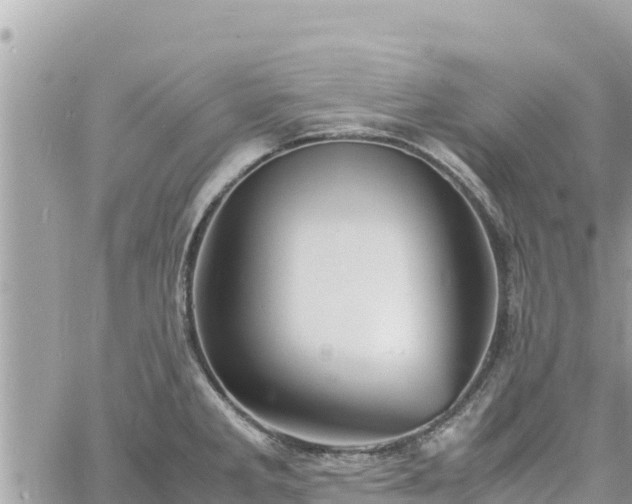 X0000060751285200511171113