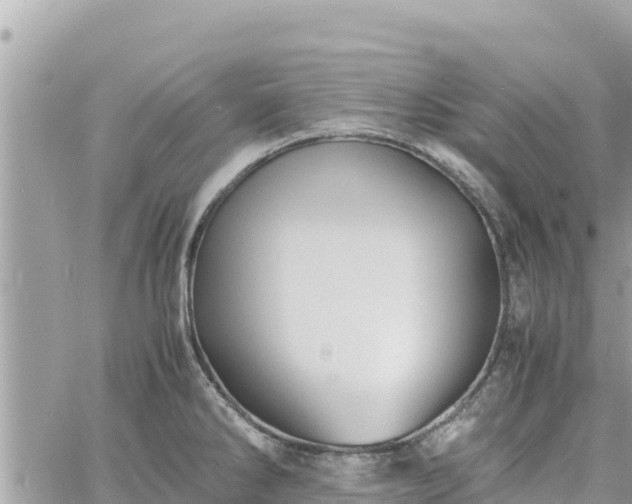 X0000060751286200511171113