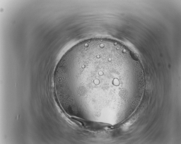 X0000060751287200511171113