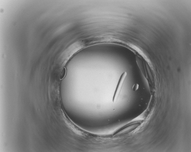 X0000060751289200511171113