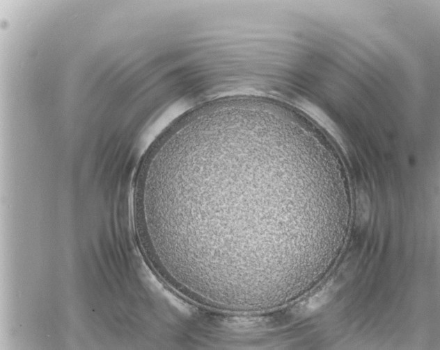 X0000060751290200511171113