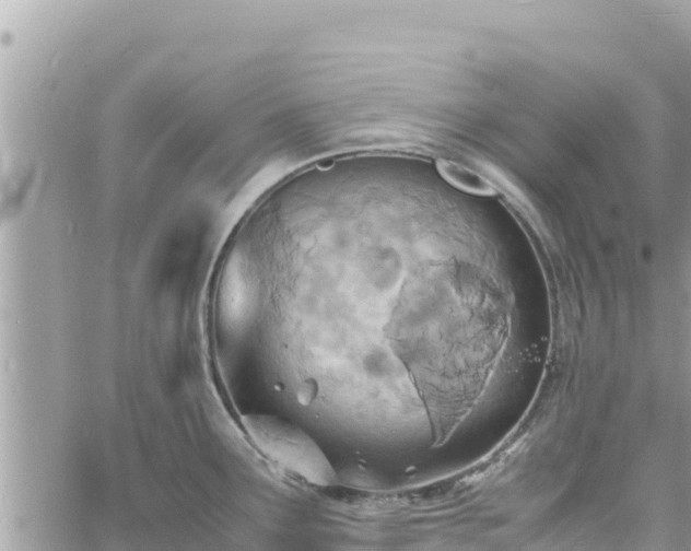 X0000060751291200511171113