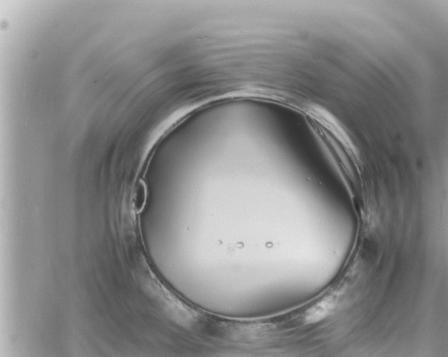 X0000060751292200511171113