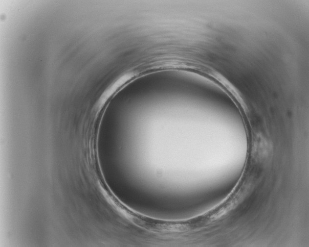 X0000060751293200511171113