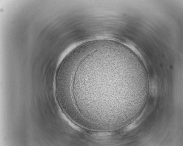 X0000060751294200511171113