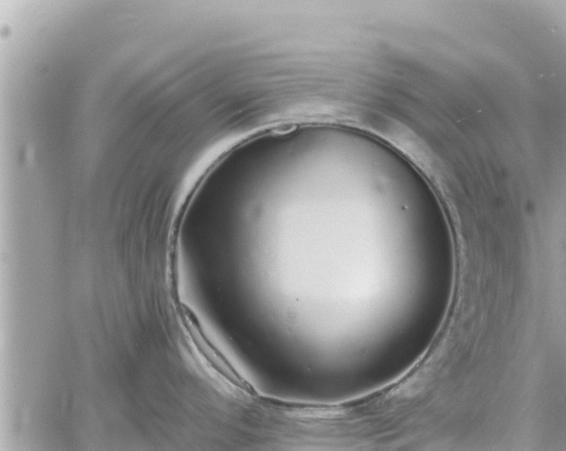 X0000060751296200511171113