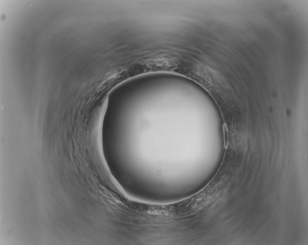 X0000060751297200511171112