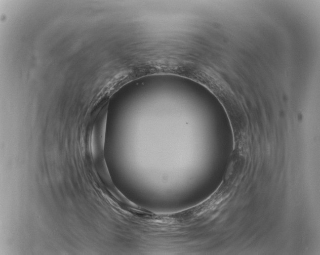 X0000060751298200511171112