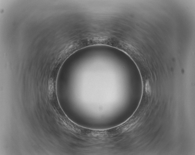 X0000060751299200511171112