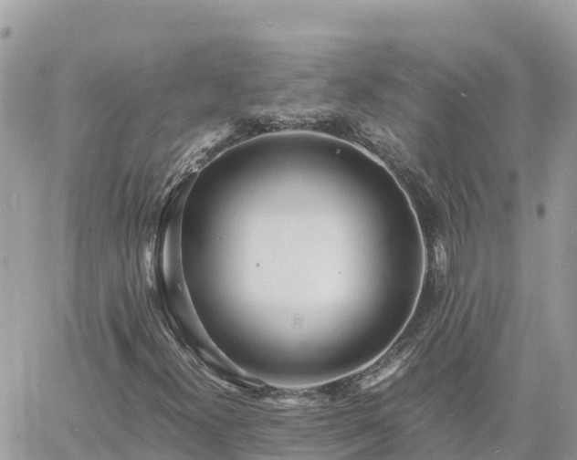 X0000060751300200511171112