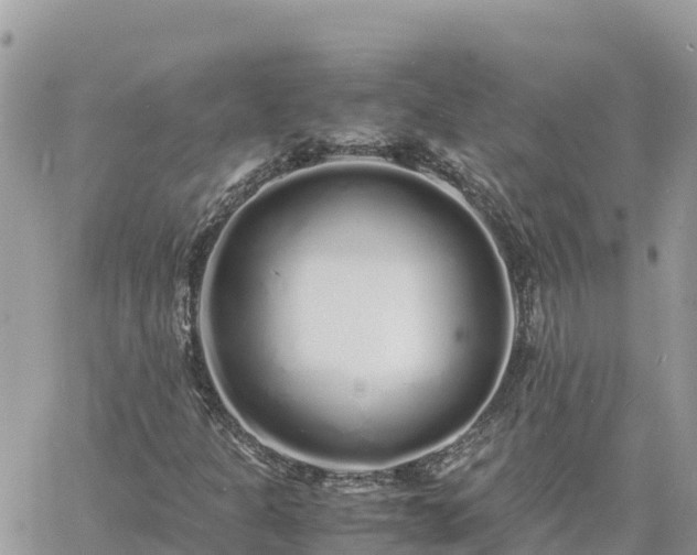 X0000060751301200511171112