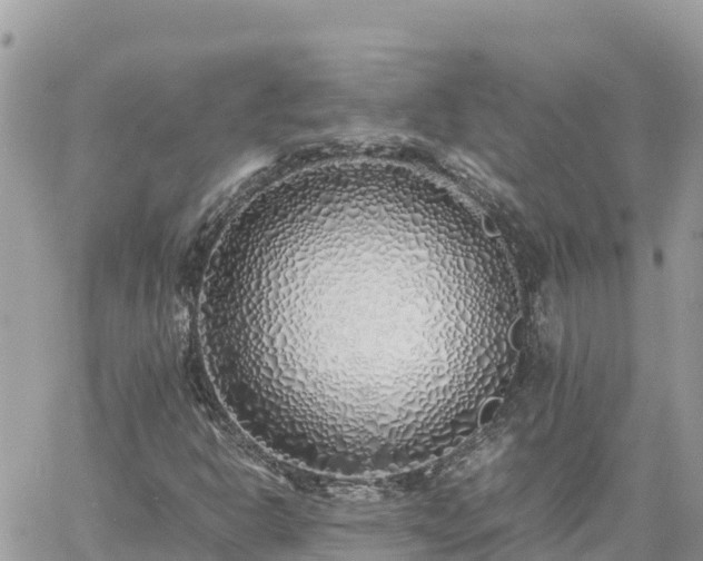 X0000060751302200511171112