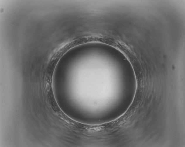 X0000060751303200511171112