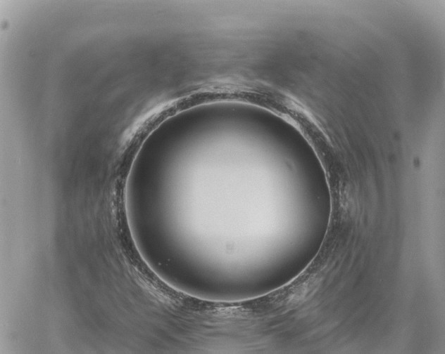 X0000060751304200511171112