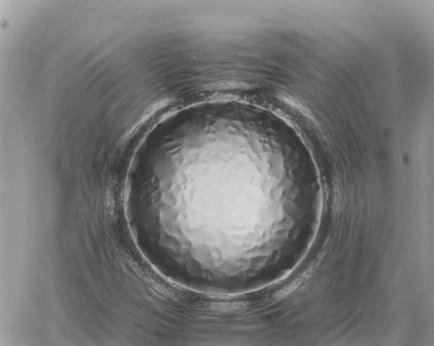 X0000060751305200511171112