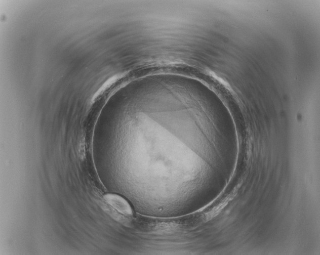 X0000060751306200511171112