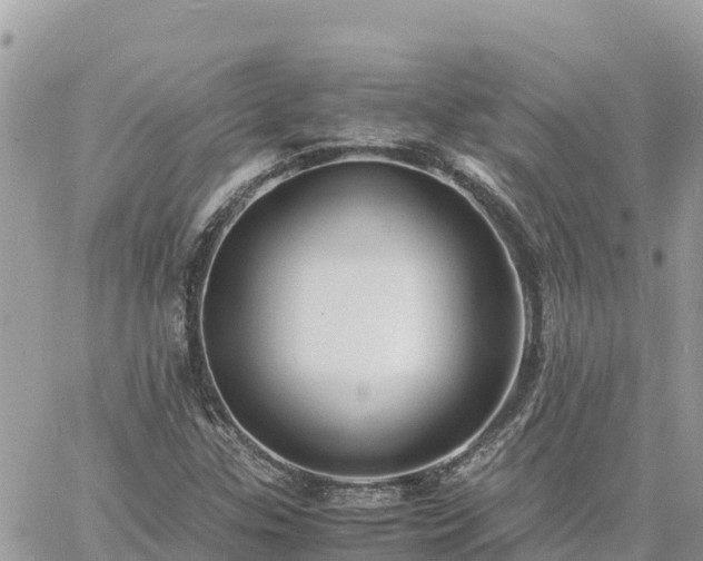 X0000060751307200511171112