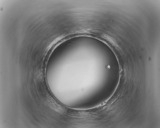 X0000060751308200511171112