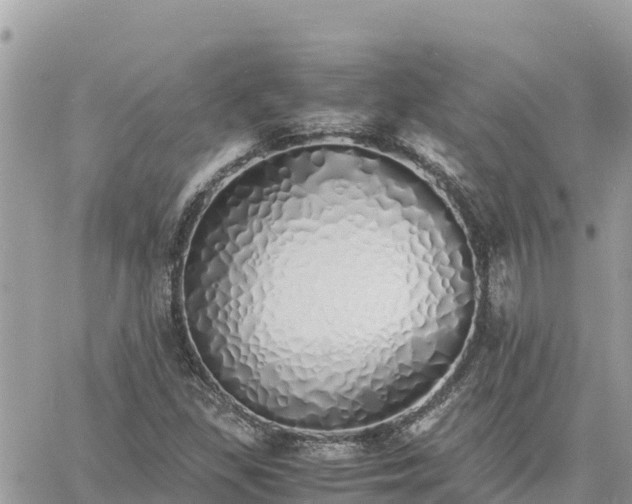 X0000060751309200511171112