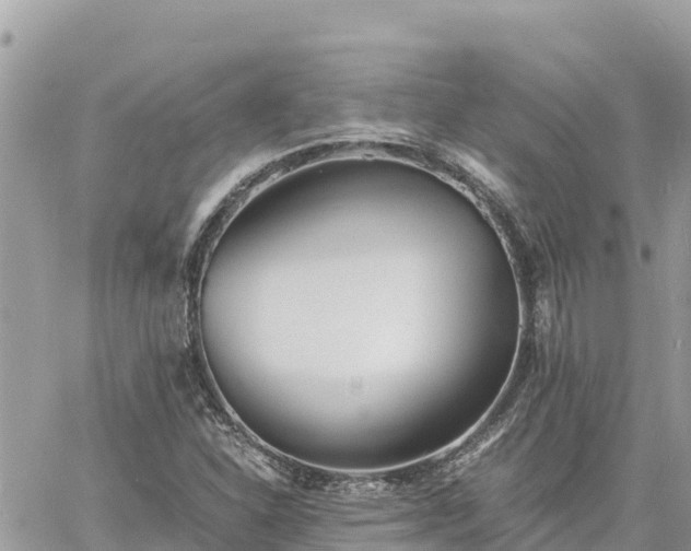 X0000060751310200511171112