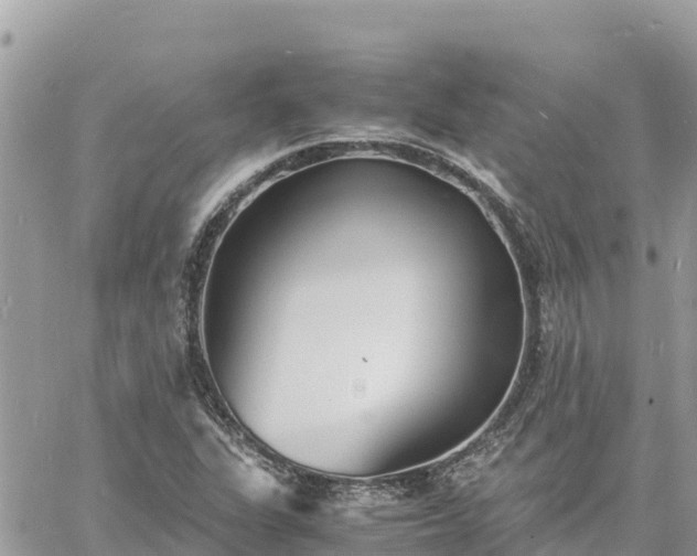 X0000060751311200511171112