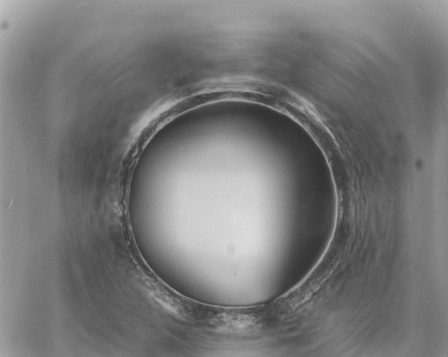 X0000060751312200511171112