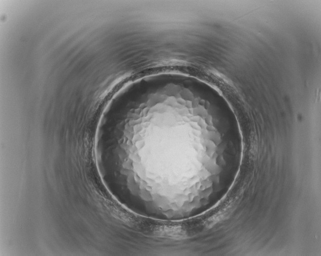 X0000060751313200511171112