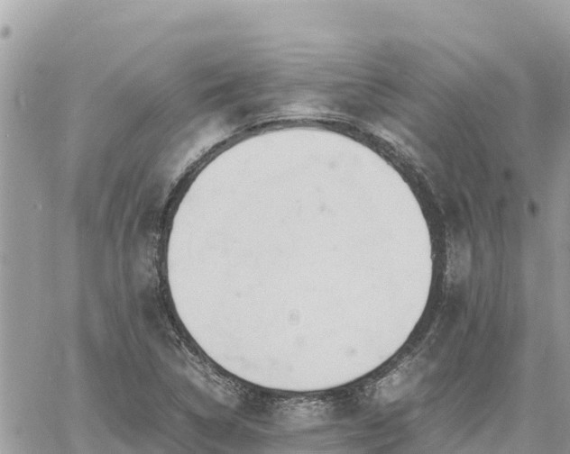 X0000060751314200511171112