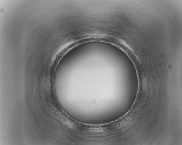 X0000060751315200511171112