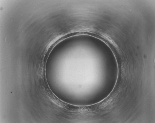 X0000060751316200511171112