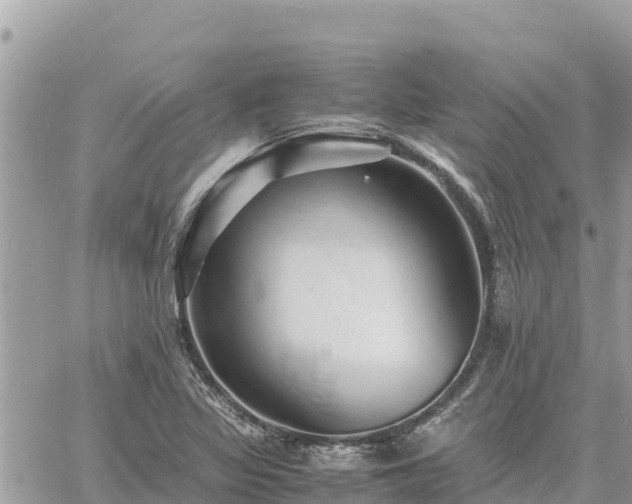 X0000060751317200511171112