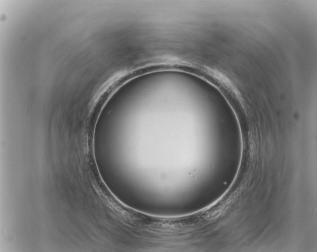 X0000060751318200511171112