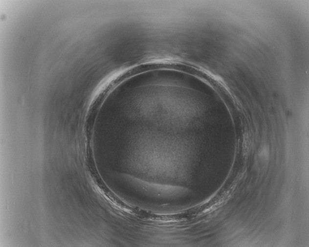 X0000060751319200511171112