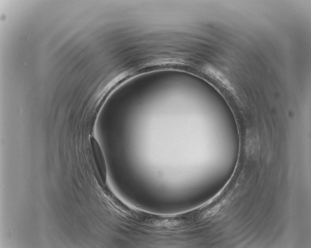 X0000060751321200511171112