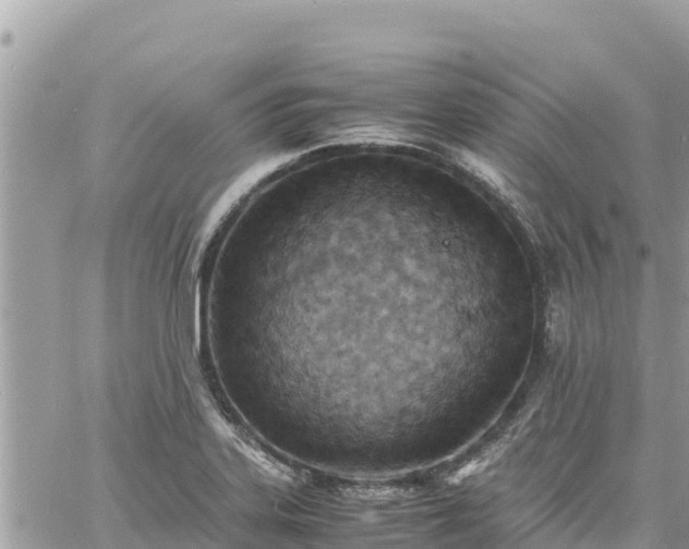 X0000060751323200511171112