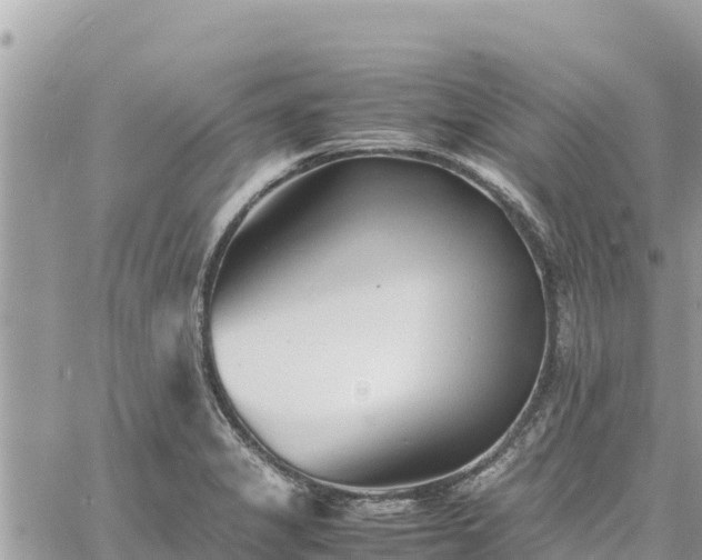 X0000060751325200511171112