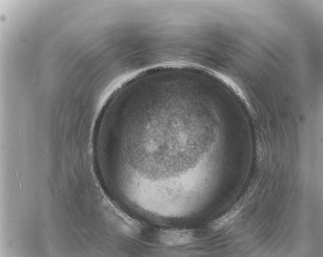 X0000060751327200511171113